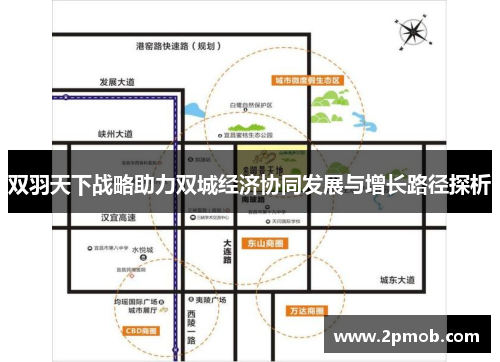 双羽天下战略助力双城经济协同发展与增长路径探析