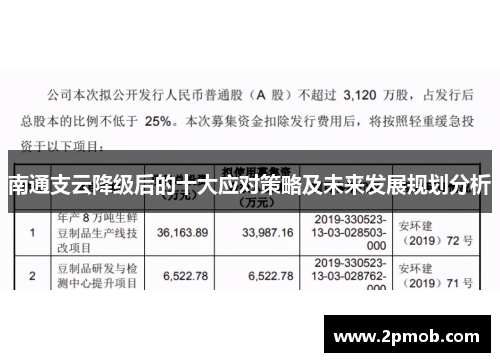 南通支云降级后的十大应对策略及未来发展规划分析
