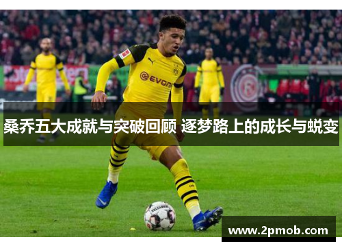 桑乔五大成就与突破回顾 逐梦路上的成长与蜕变